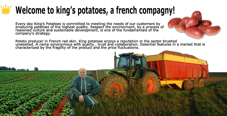 Welcome to King's potatoes, a french compagny