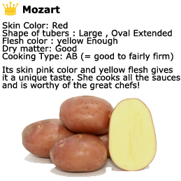 Mozart potatoes - its skin pink color and yellow flesh gives it a unique taste. she cooks all the sauces and is worthy of the great chefs